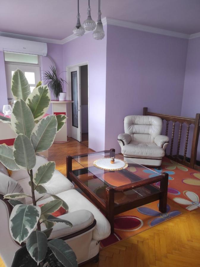 Mo Relax Vendeghaz Villa Morahalom Luaran gambar