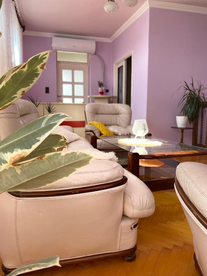 Mo Relax Vendeghaz Villa Morahalom Luaran gambar